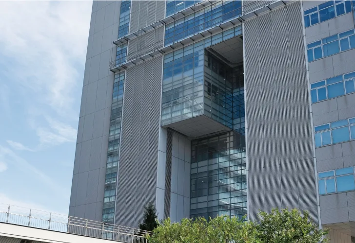 【美品】モアレ分析システム（モアレ着付） モアナモリーズ リュクススタイルブラキャミ カラー選べる2点セット